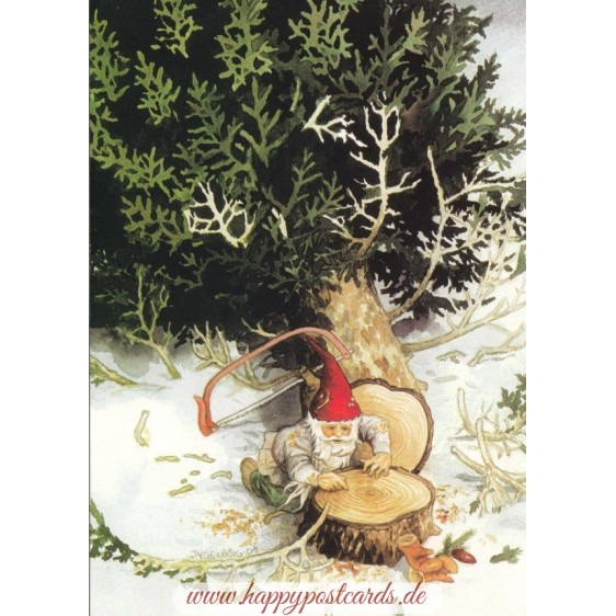215 - Dwarf counts tree rings - postcard